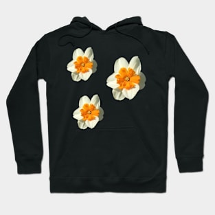 Bicolor Daffodil Hoodie